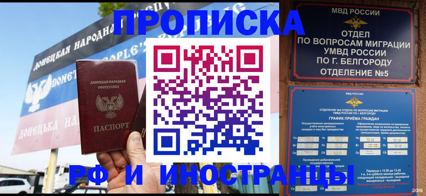 временная регистрация 2025 в Тогучине